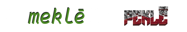 SearXNG